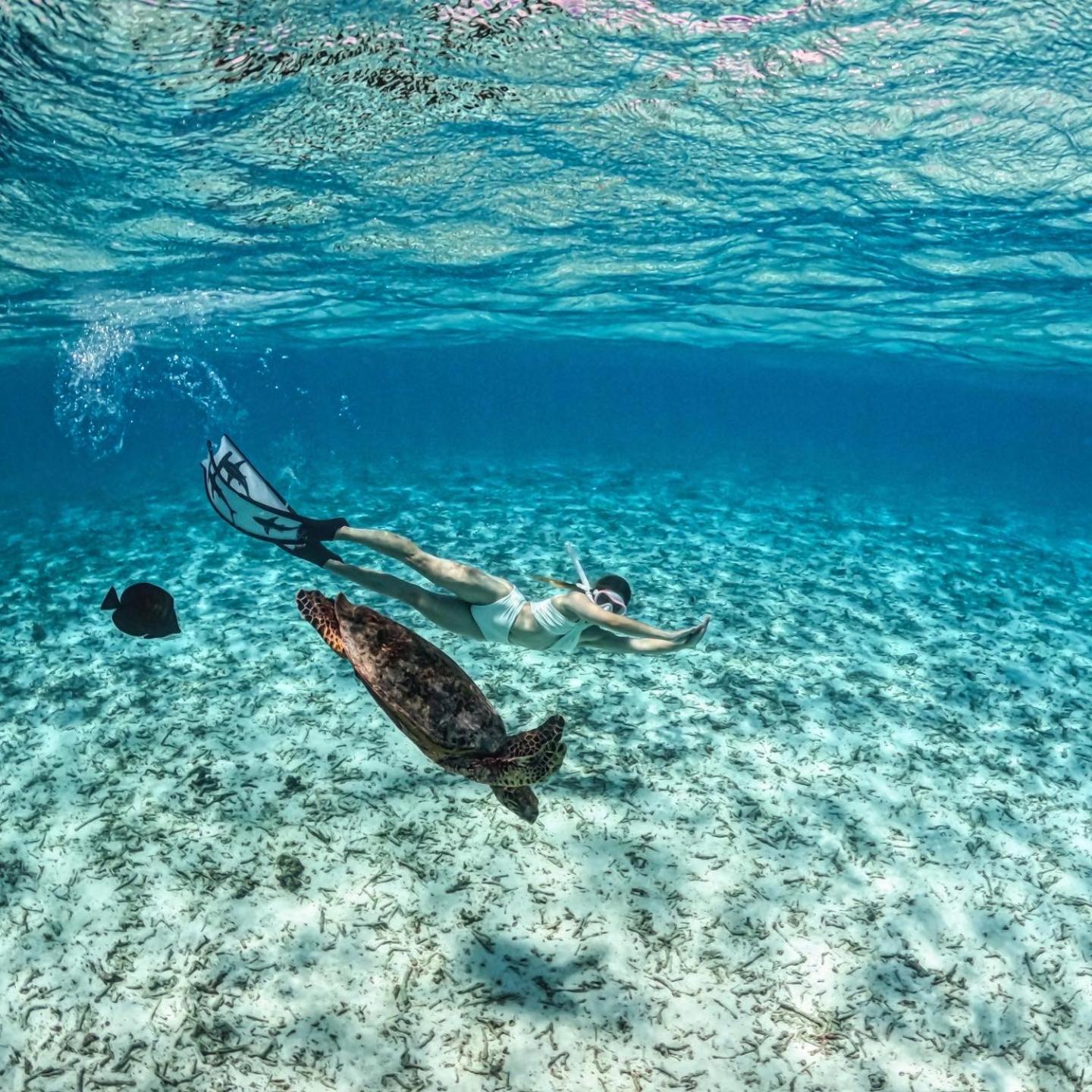 Blue Water Thoddoo Inn Bagian luar foto