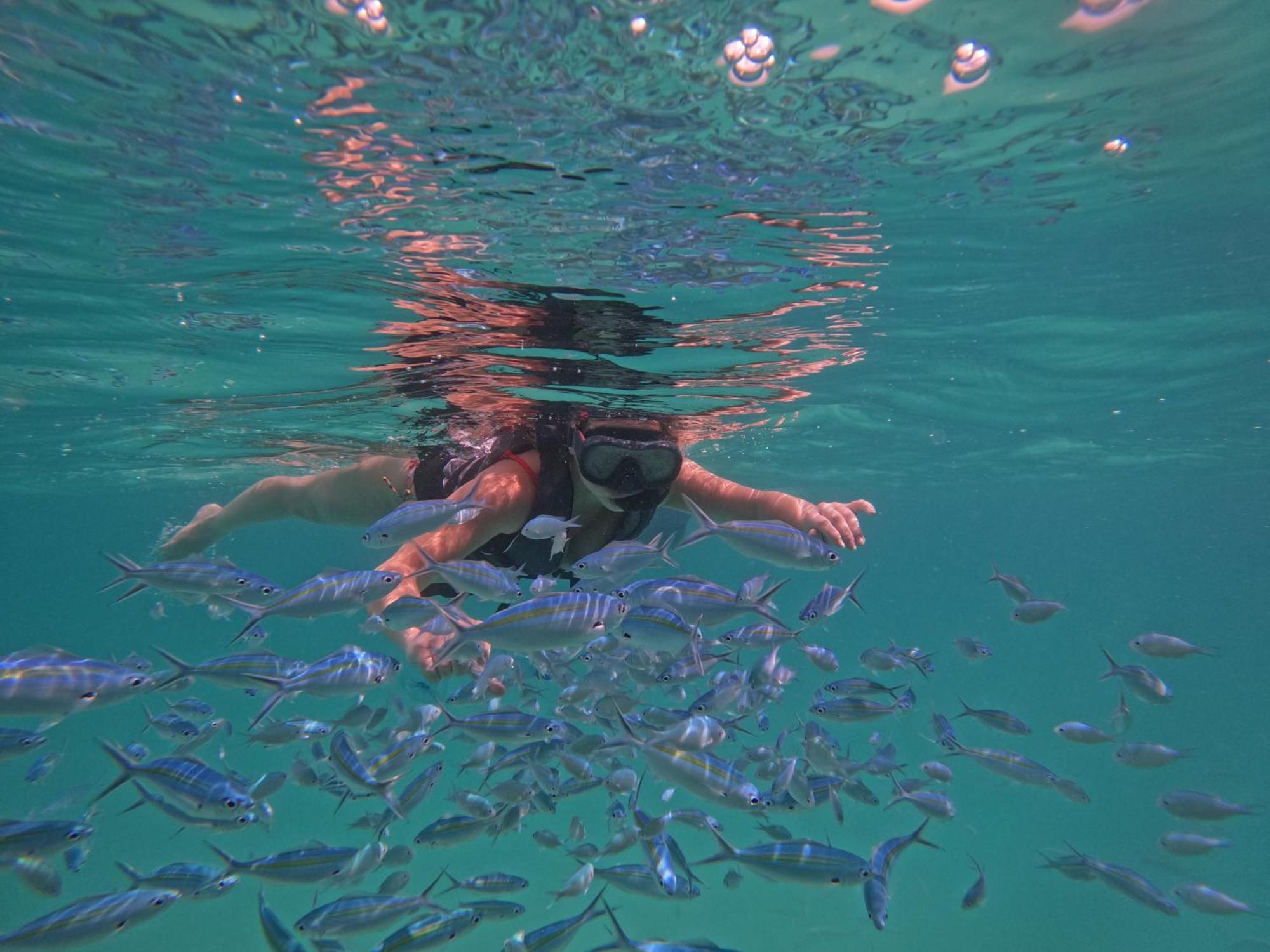 Blue Water Thoddoo Inn Ruang foto