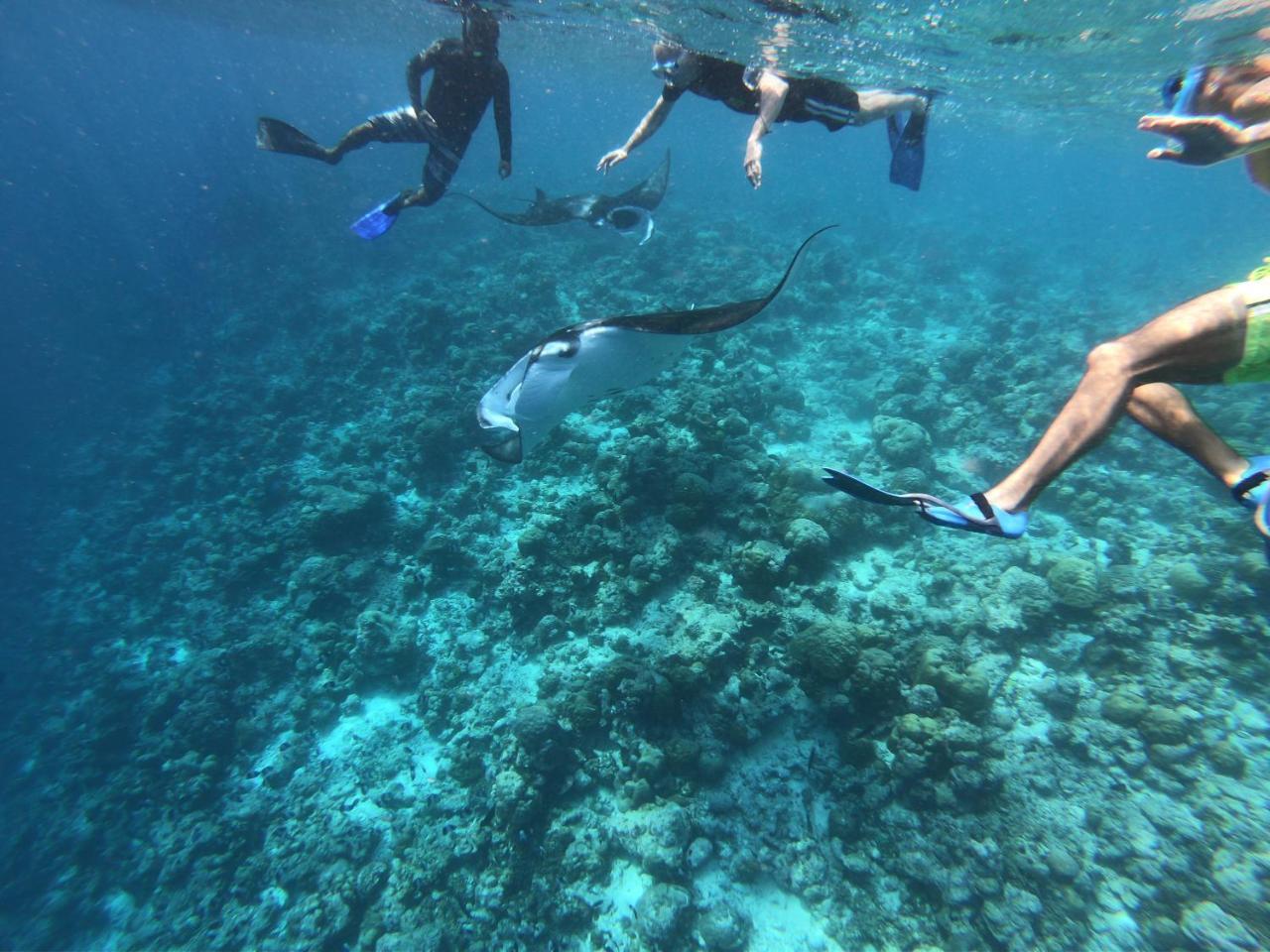 Blue Water Thoddoo Inn Bagian luar foto